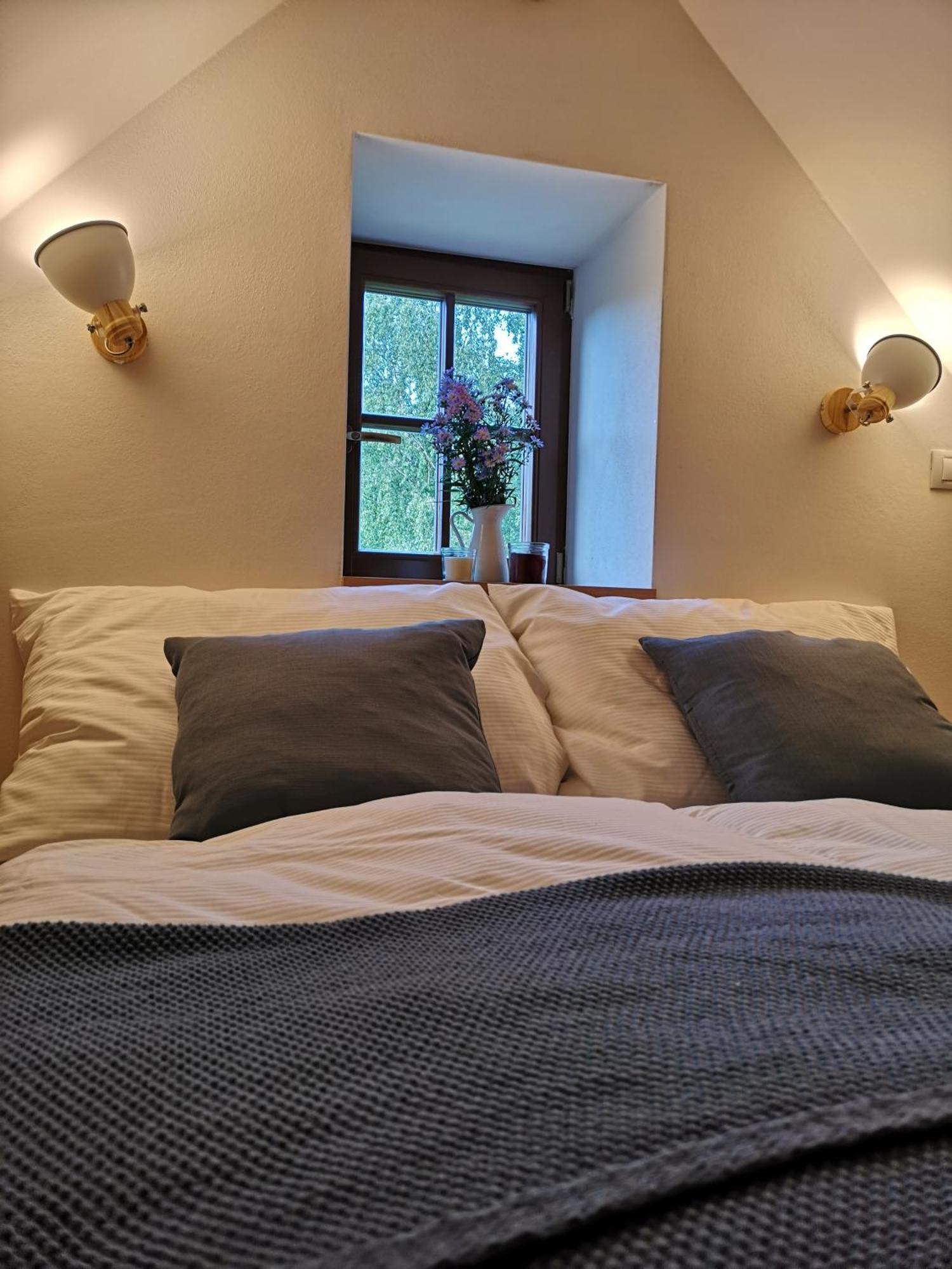 Na Jeleni Stezce Villa Chribska Ngoại thất bức ảnh